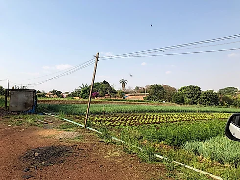 Terreno em Residencial Itaipu, Goiânia