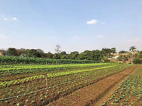 Terreno em Residencial Itaipu, Goiânia