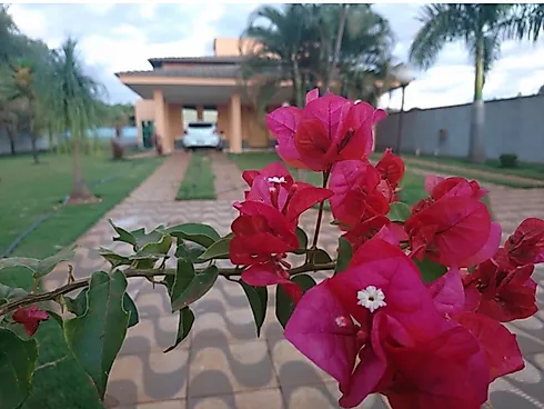 Sítio em Sítio de Recreio Paraíso Tropical, Goiânia