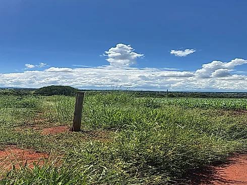 Vende-SE Chácara de 2000 m2 em Goianira - Foto 12
