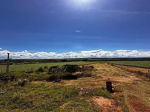 Vende-SE Chácara de 2000 m2 em Goianira - Foto 13