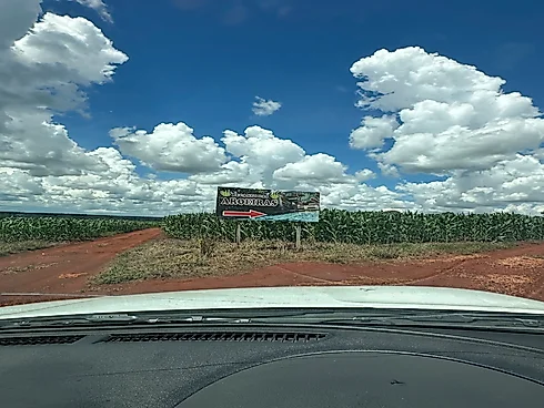 Vende-SE Chácara de 2000 m2 em Goianira - Foto 17