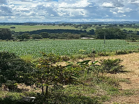 Terreno em Residencial Triunfo V, Goianira