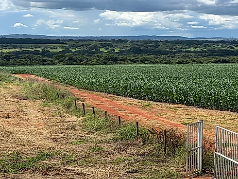 Vende-SE Chácara de 2000 m2 em Goianira - Foto 8
