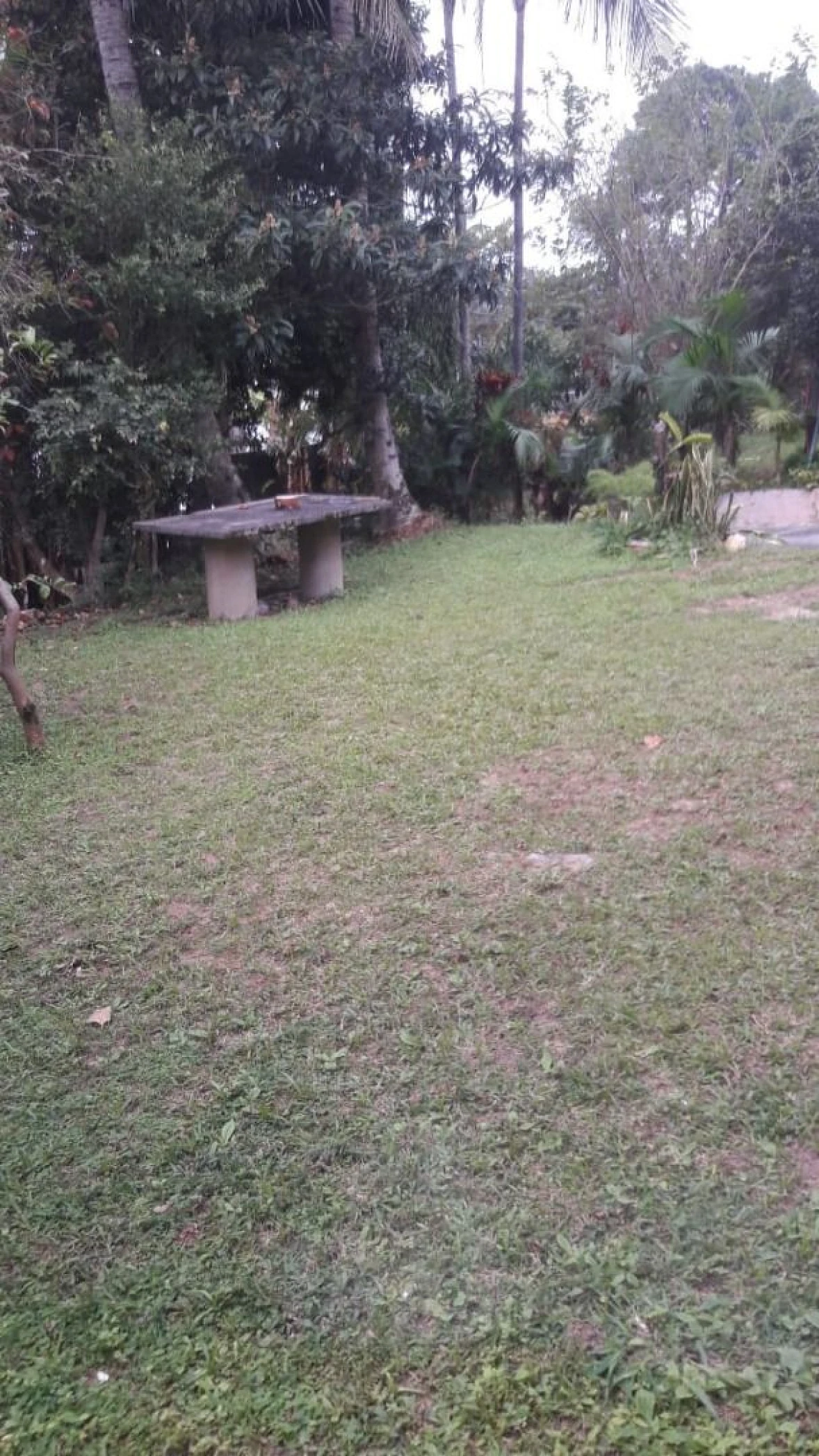 Excelente Casa na Praia de Fora com 100m² - Foto 14