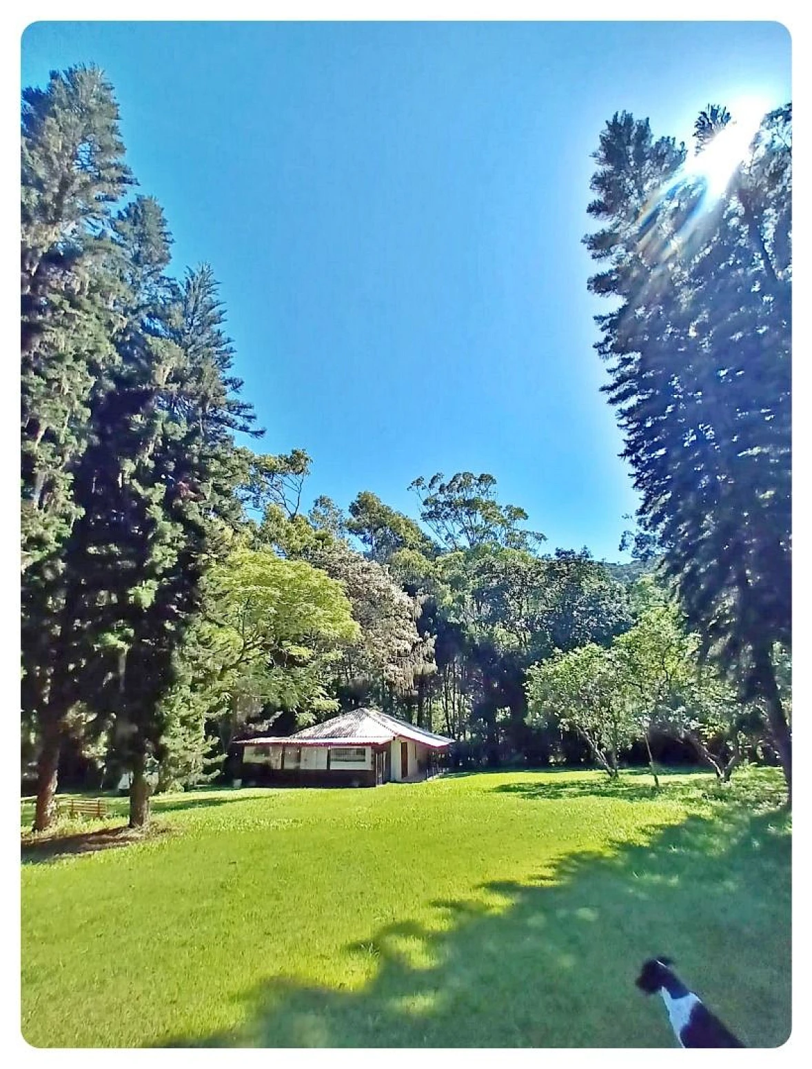 Terreno em Rio Vermelho, Florianópolis