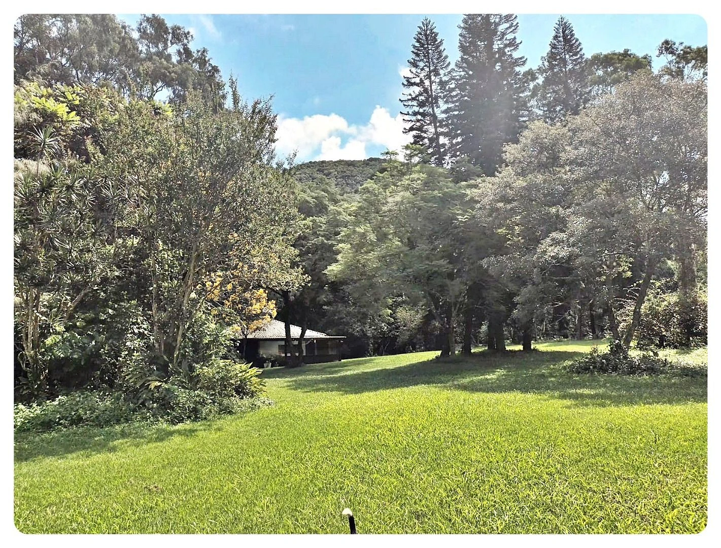 Terreno em Rio Vermelho, Florianópolis