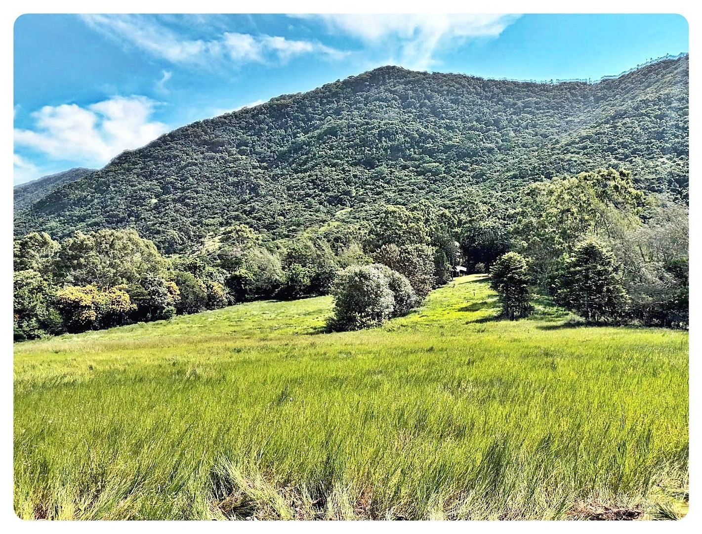 Terreno em Rio Vermelho, Florianópolis