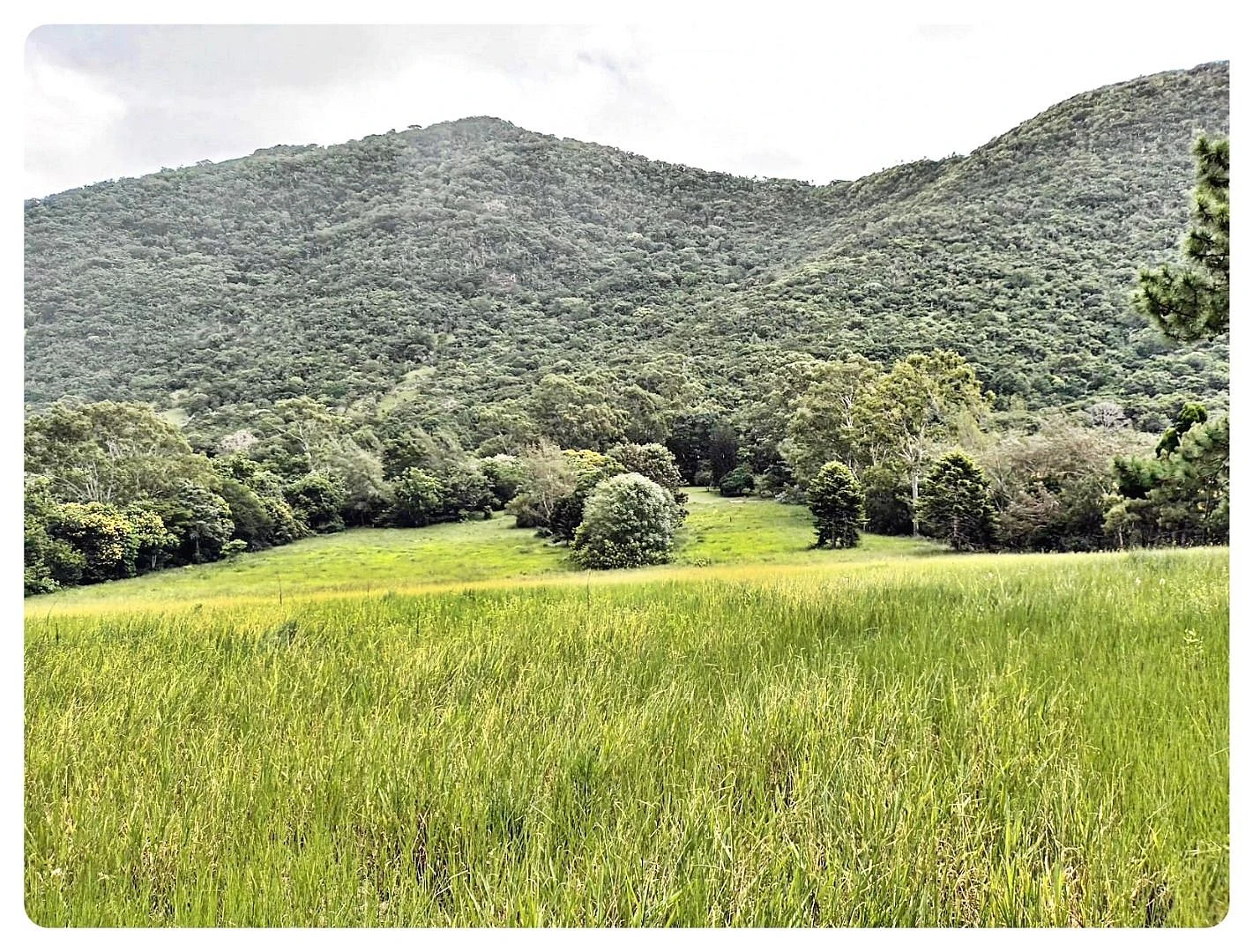 Terreno em Rio Vermelho, Florianópolis