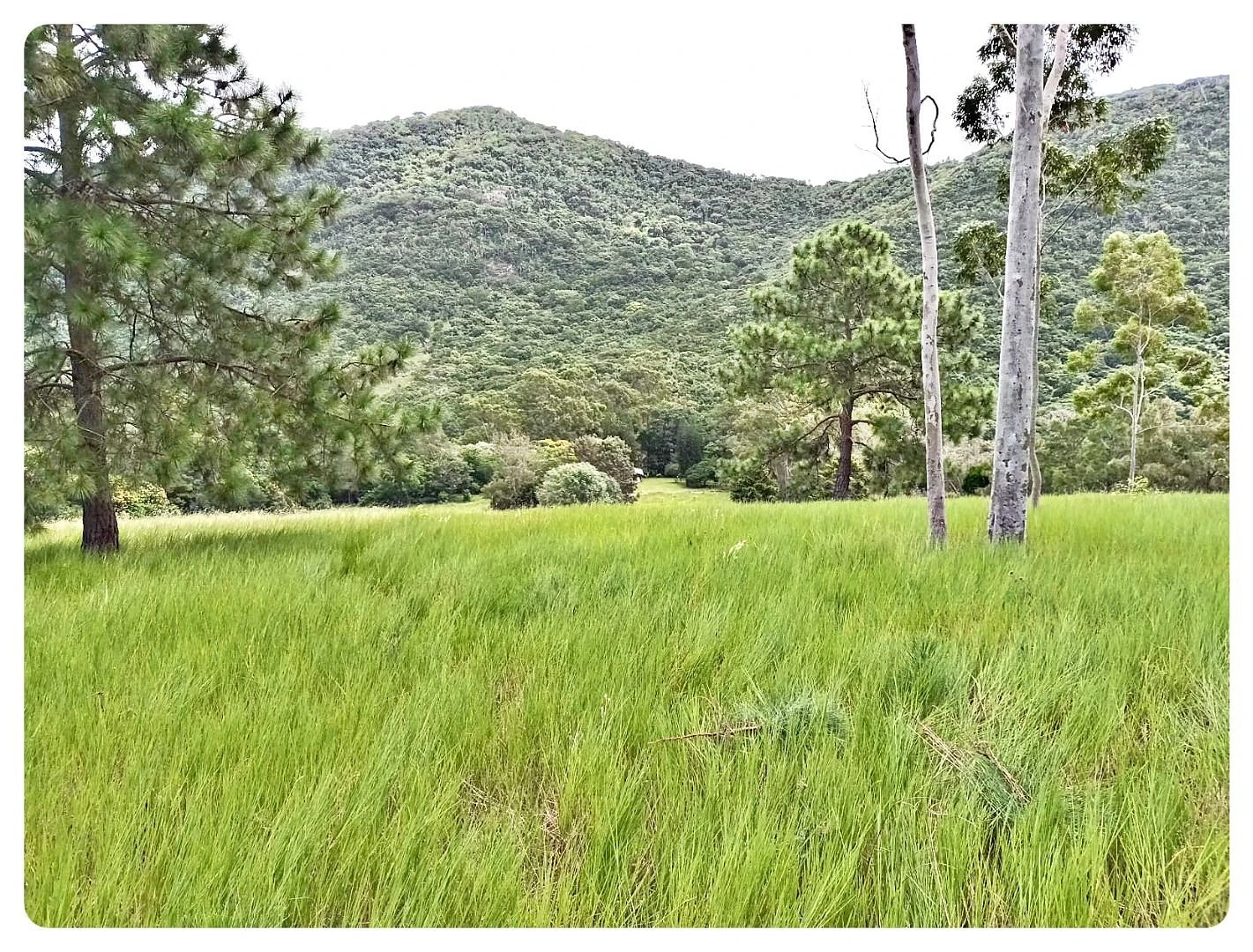 Terreno em Rio Vermelho, Florianópolis