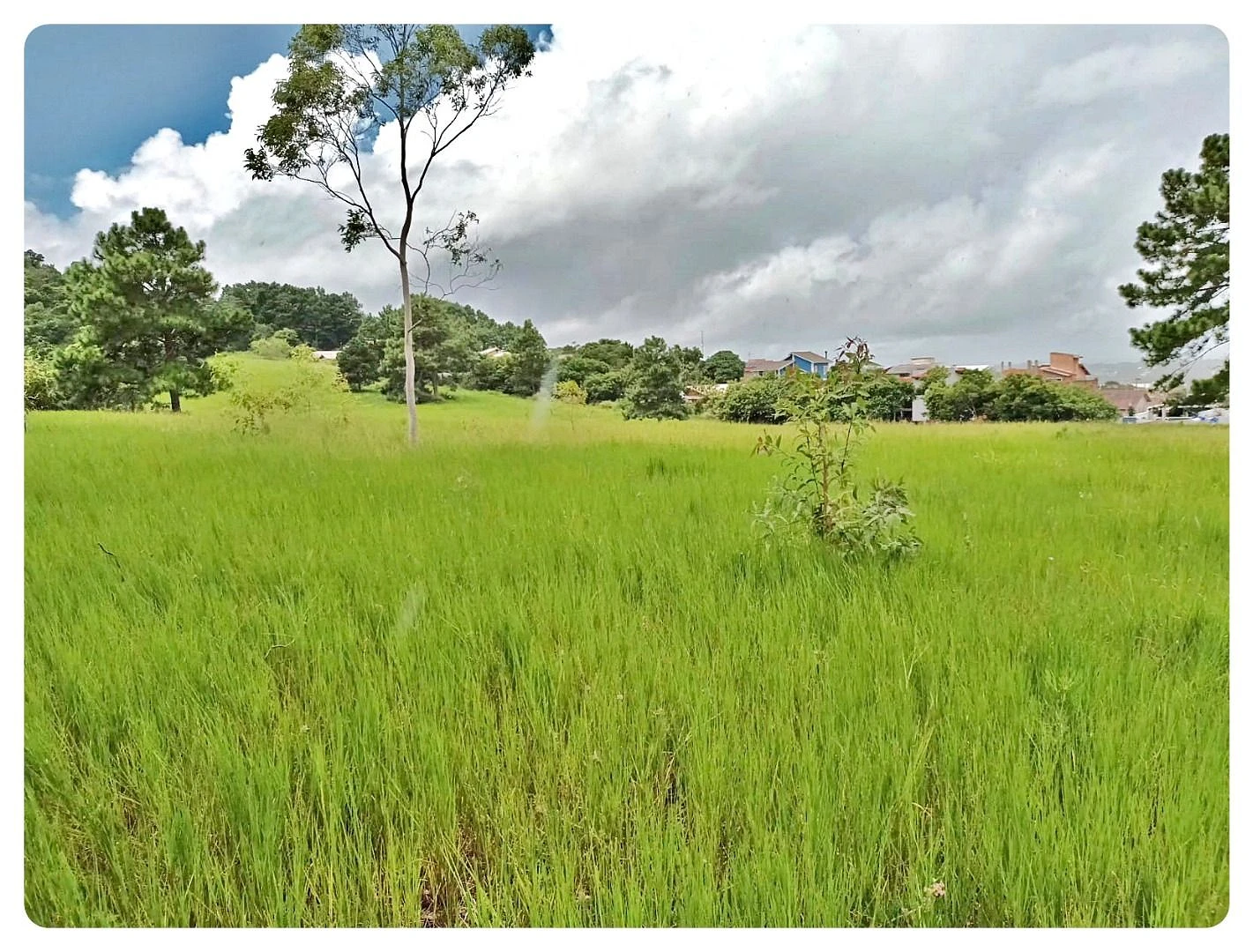 Terreno 175.000 m² - Rio Vermelho - Florianópolis - Foto 6