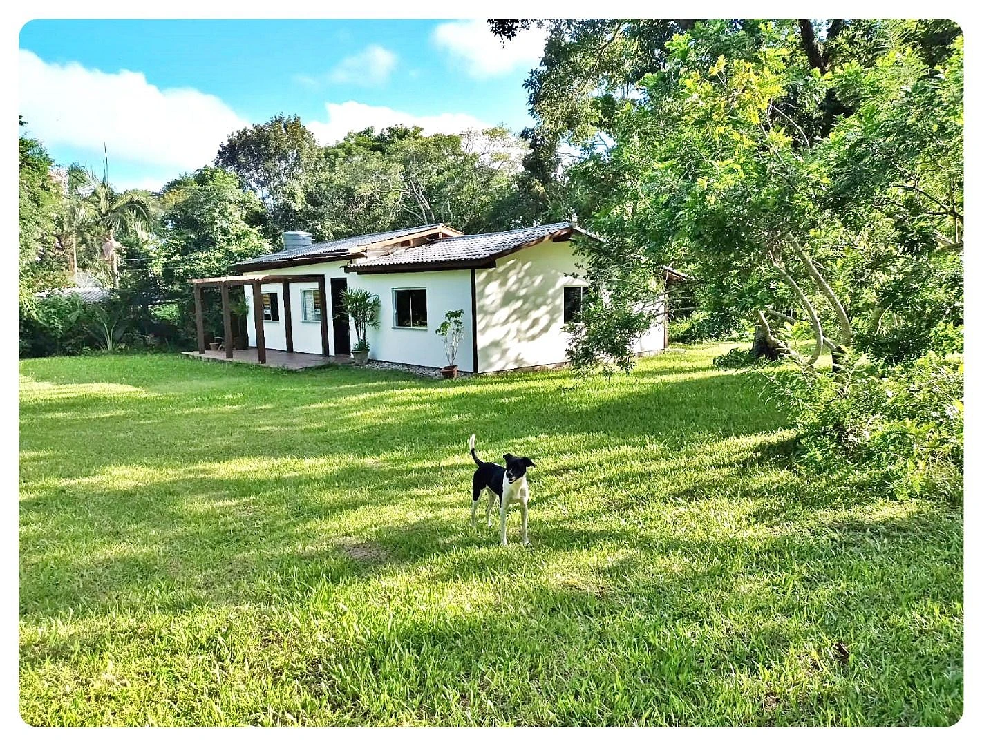 Terreno 175.000 m² - Rio Vermelho - Florianópolis - Foto 7