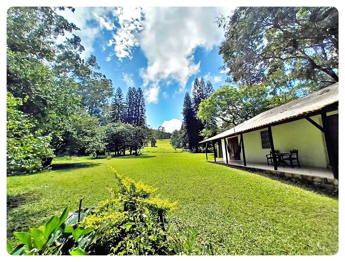 Terreno 175.000 m² - Rio Vermelho - Florianópolis - Foto 8