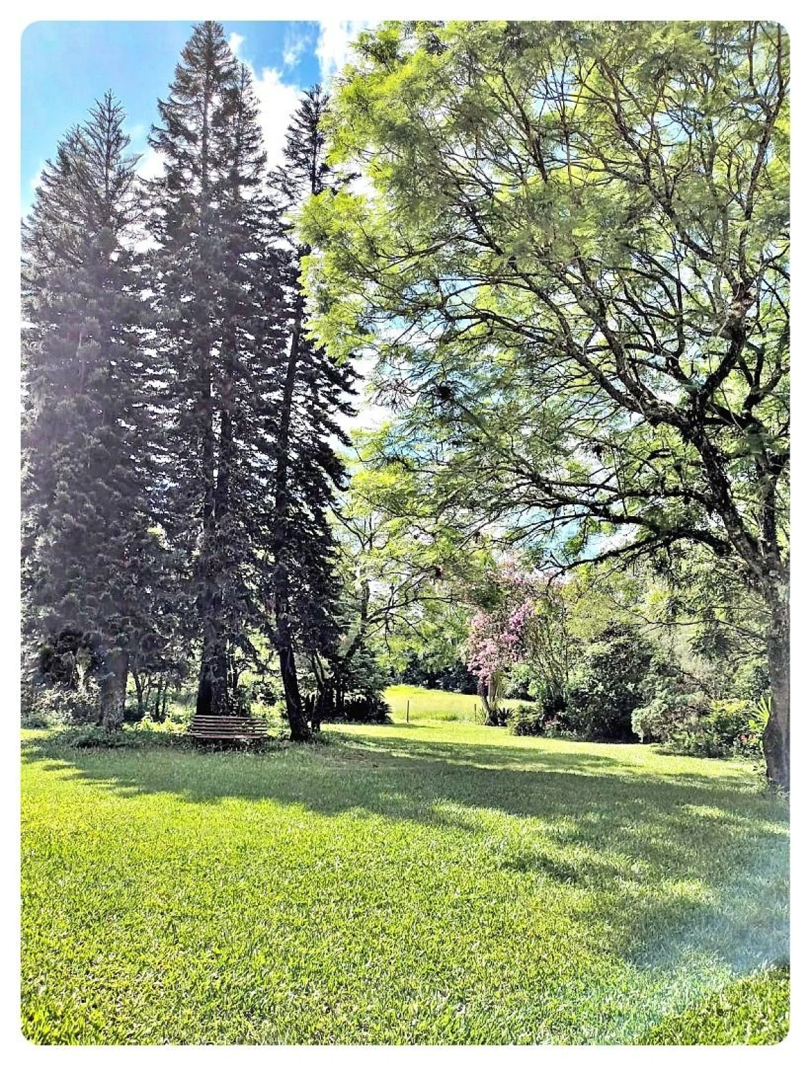 Terreno 175.000 m² - Rio Vermelho - Florianópolis - Foto 9