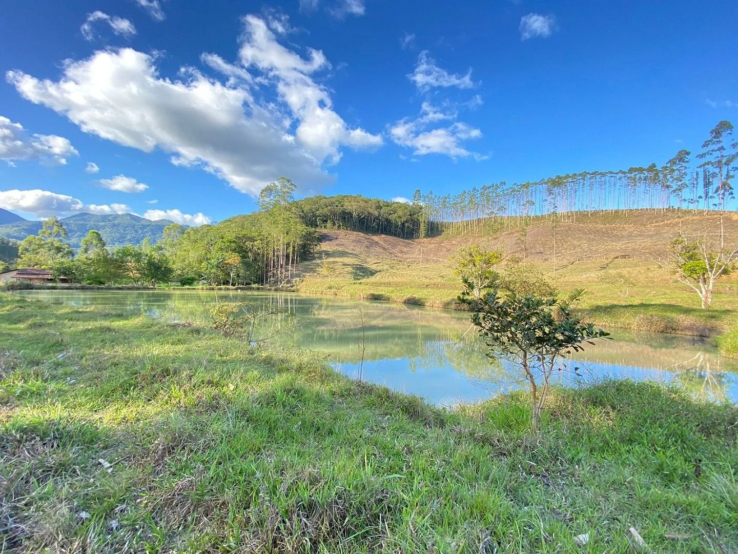Terreno em Oliveira, Tijucas