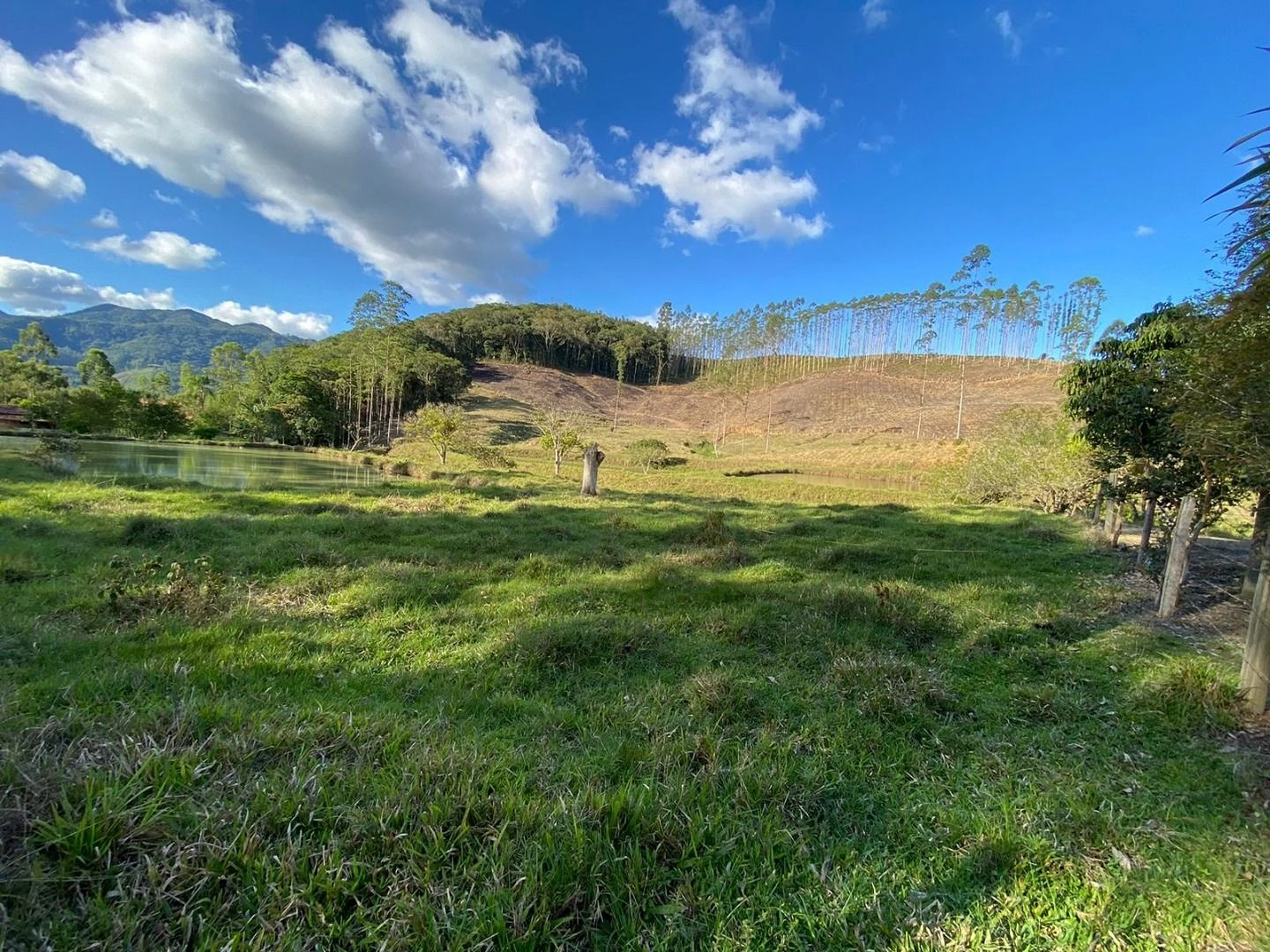 Excelente Chácara / Terreno 3.700M². Oliveira, Tijucas/SC - Foto 18