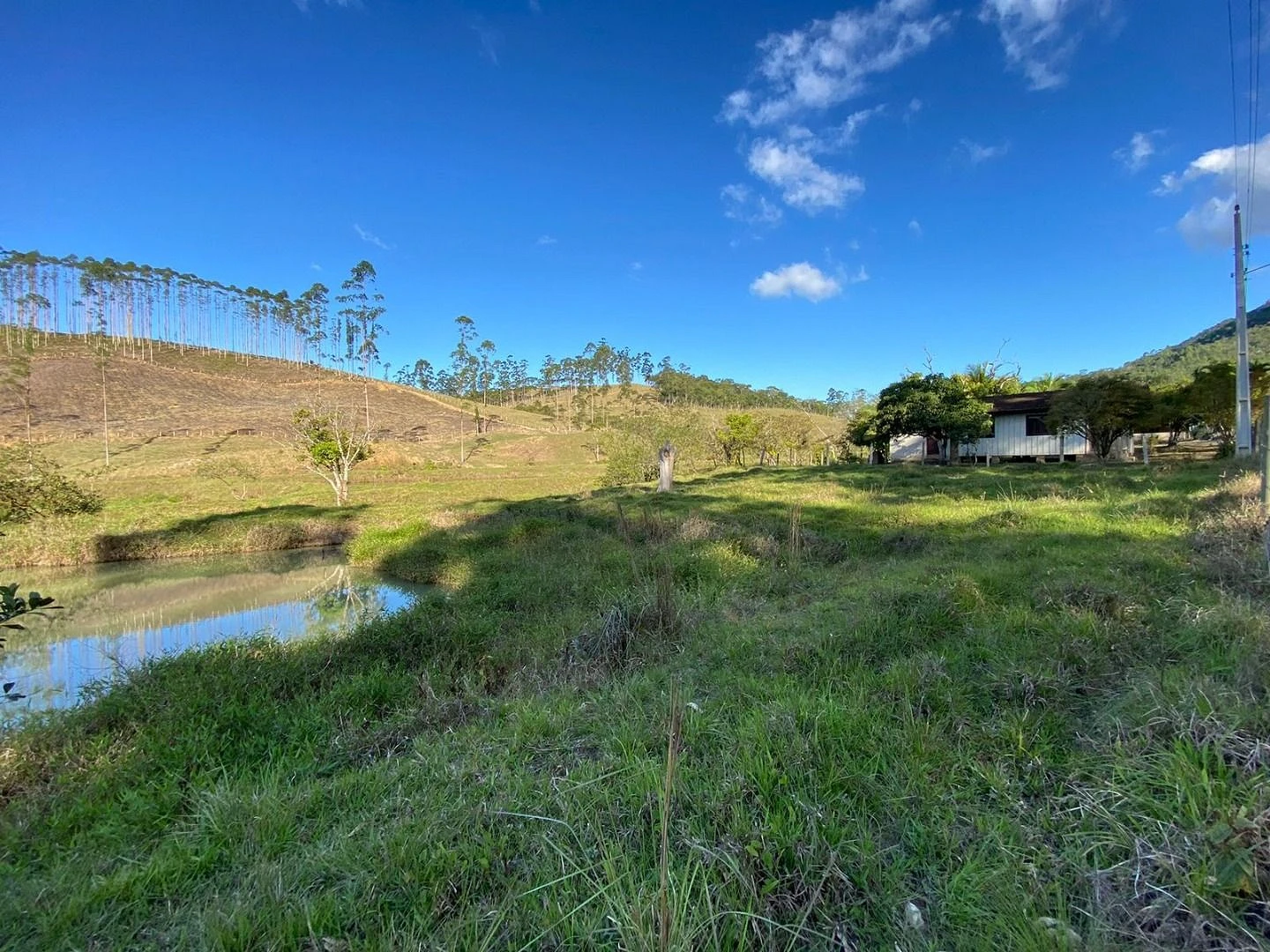 Excelente Chácara Chácara 3.700M². Oliveira, Tijucas/SC - Foto 13
