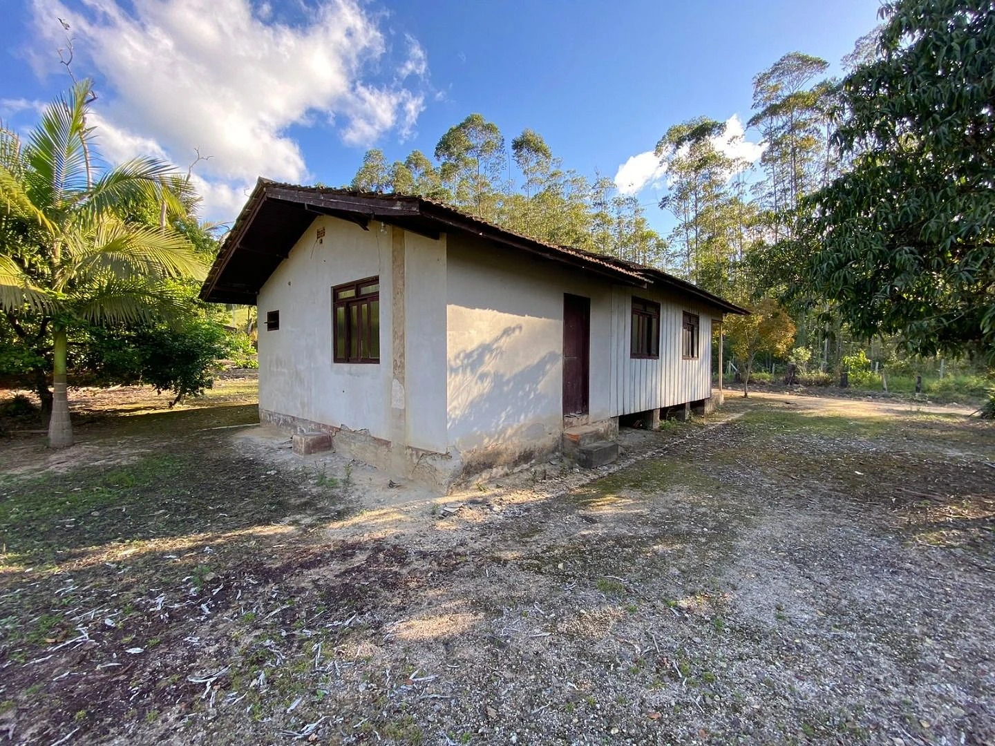 Excelente Chácara Chácara 3.700M². Oliveira, Tijucas/SC - Foto 6