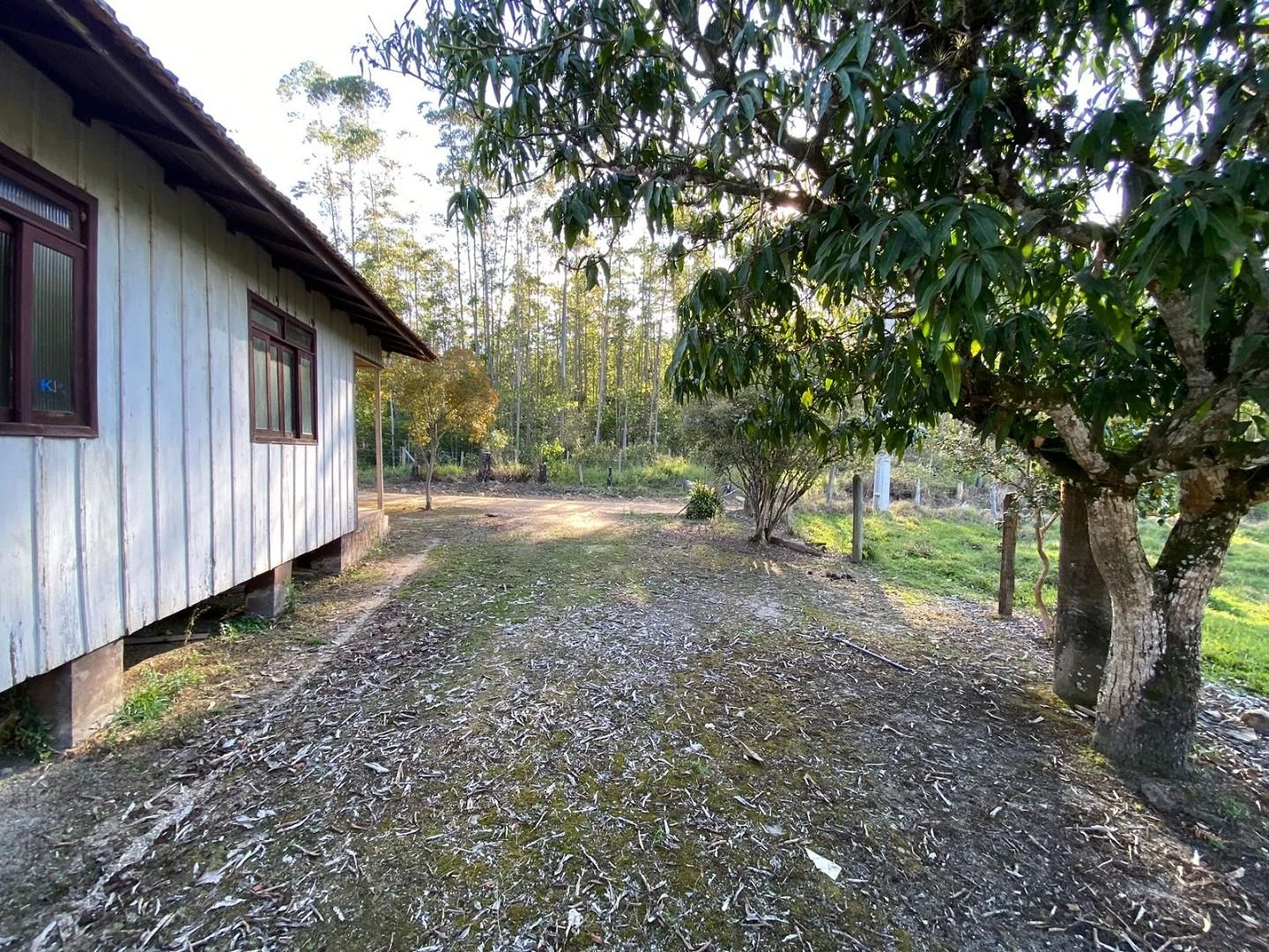 Excelente Chácara Chácara 3.700M². Oliveira, Tijucas/SC - Foto 9