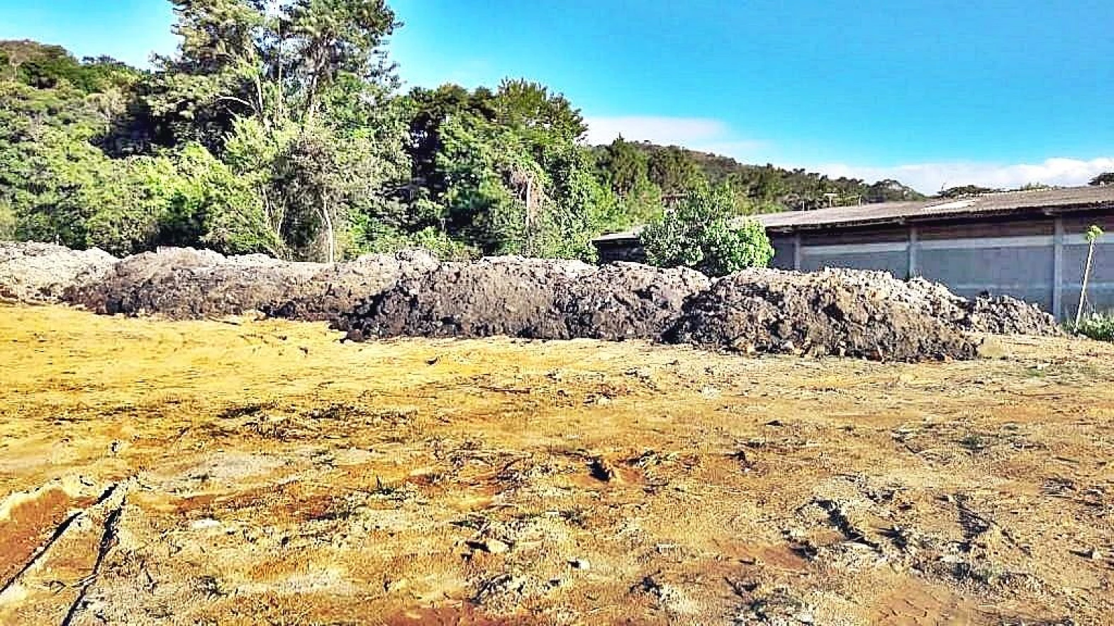 Terreno à Venda, 2018 m²  - Faz. Santo Antônio - São José/SC - Foto 11