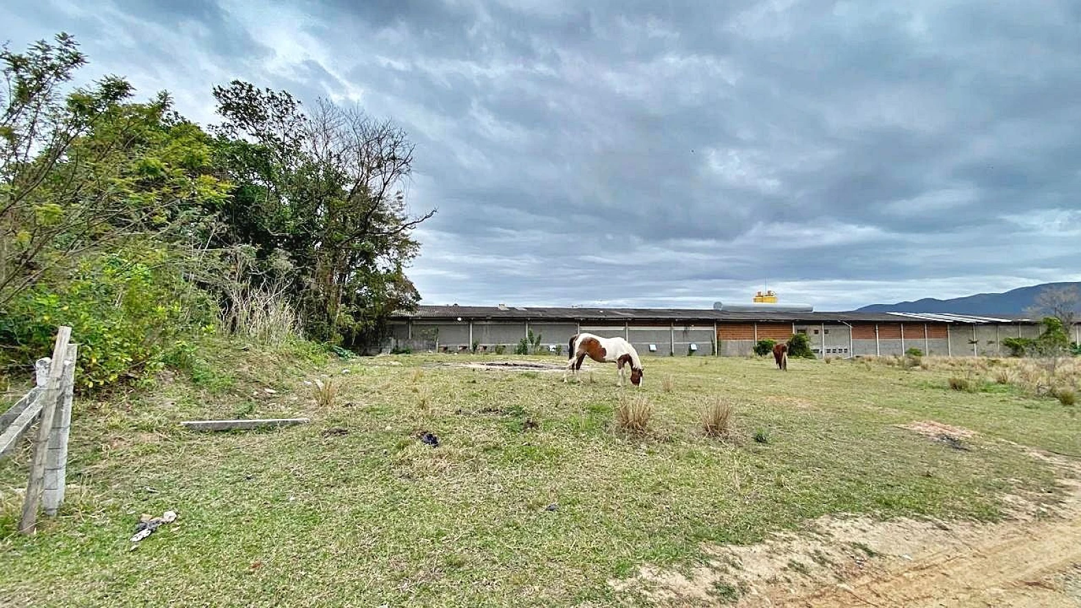 Terreno à Venda, 2018 m²  - Faz. Santo Antônio - São José/SC - Foto 19