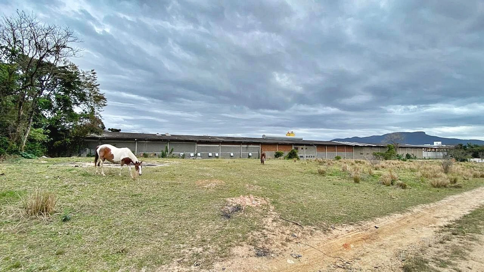 Terreno à Venda, 2018 m²  - Faz. Santo Antônio - São José/SC - Foto 20