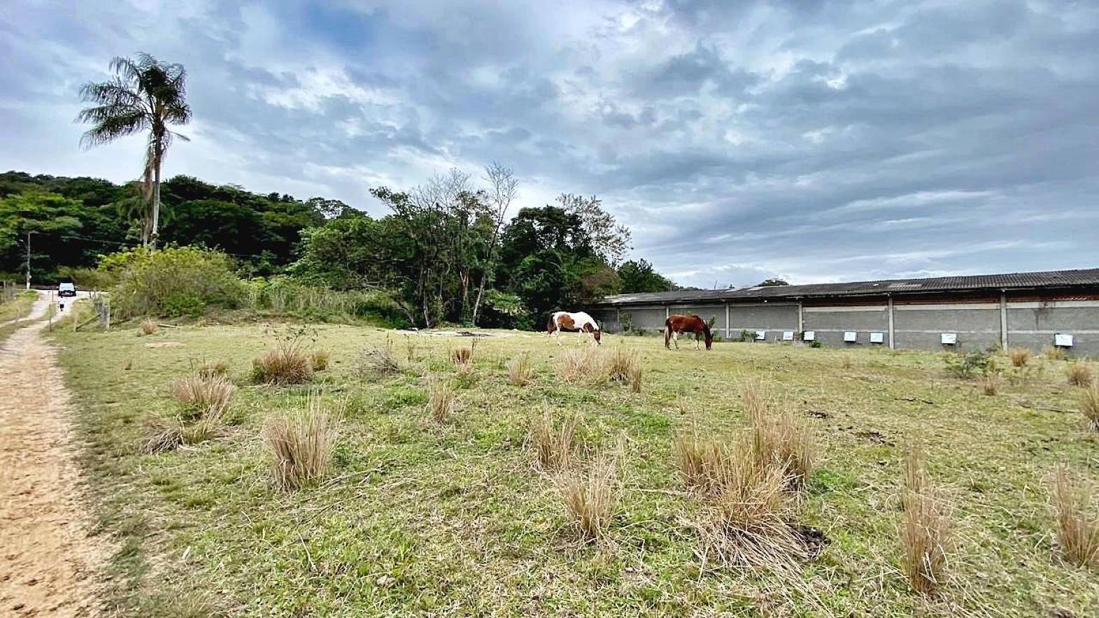 Terreno à Venda, 2018 m²  - Faz. Santo Antônio - São José/SC - Foto 22