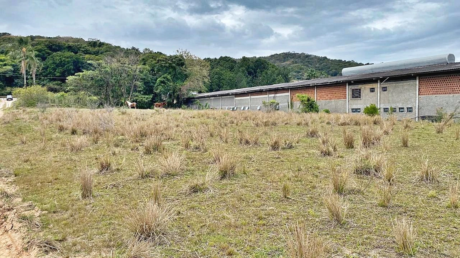 Terreno à Venda, 2018 m²  - Faz. Santo Antônio - São José/SC - Foto 30
