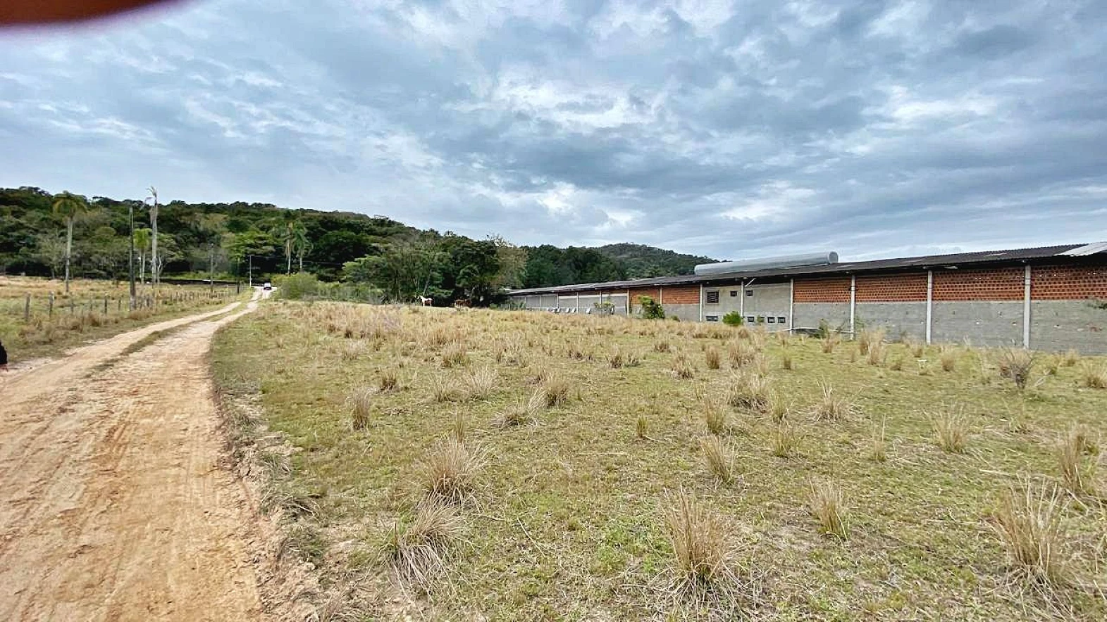 Terreno à Venda, 2018 m²  - Faz. Santo Antônio - São José/SC - Foto 31