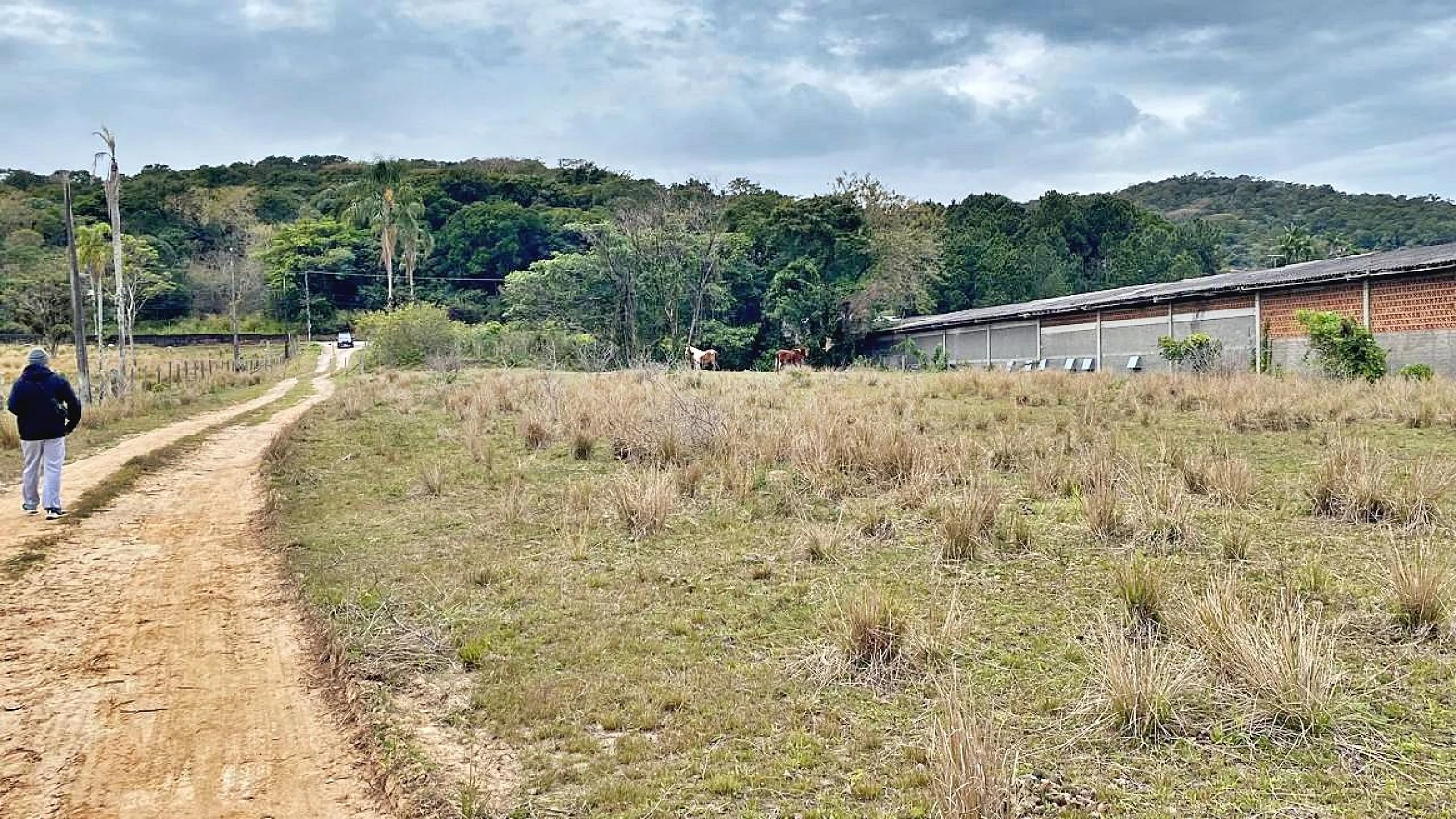 Terreno à Venda, 2018 m²  - Faz. Santo Antônio - São José/SC - Foto 34
