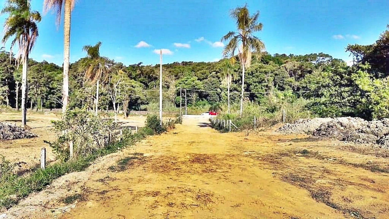Terreno em Fazenda Santo Antônio, São José