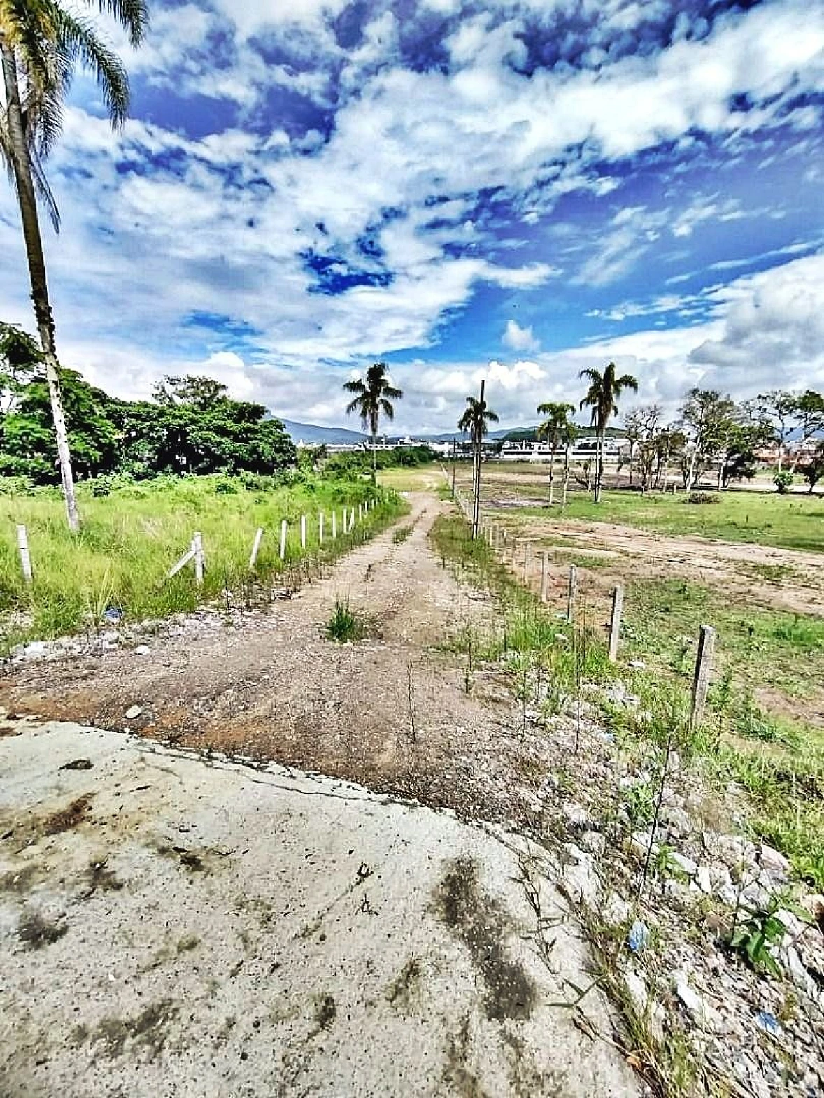 Terreno à Venda, 2018 m²  - Faz. Santo Antônio - São José/SC - Foto 7