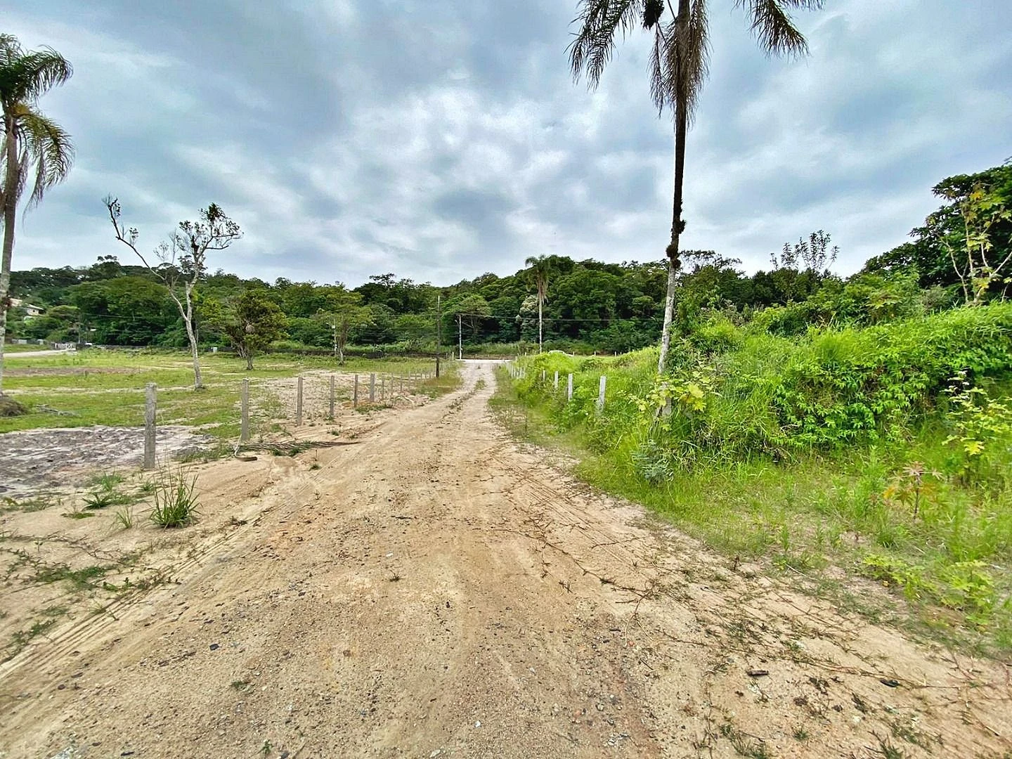 Terreno à Venda, 2317 m²  - Fazenda Santo Antônio - São José/SC - Foto 10
