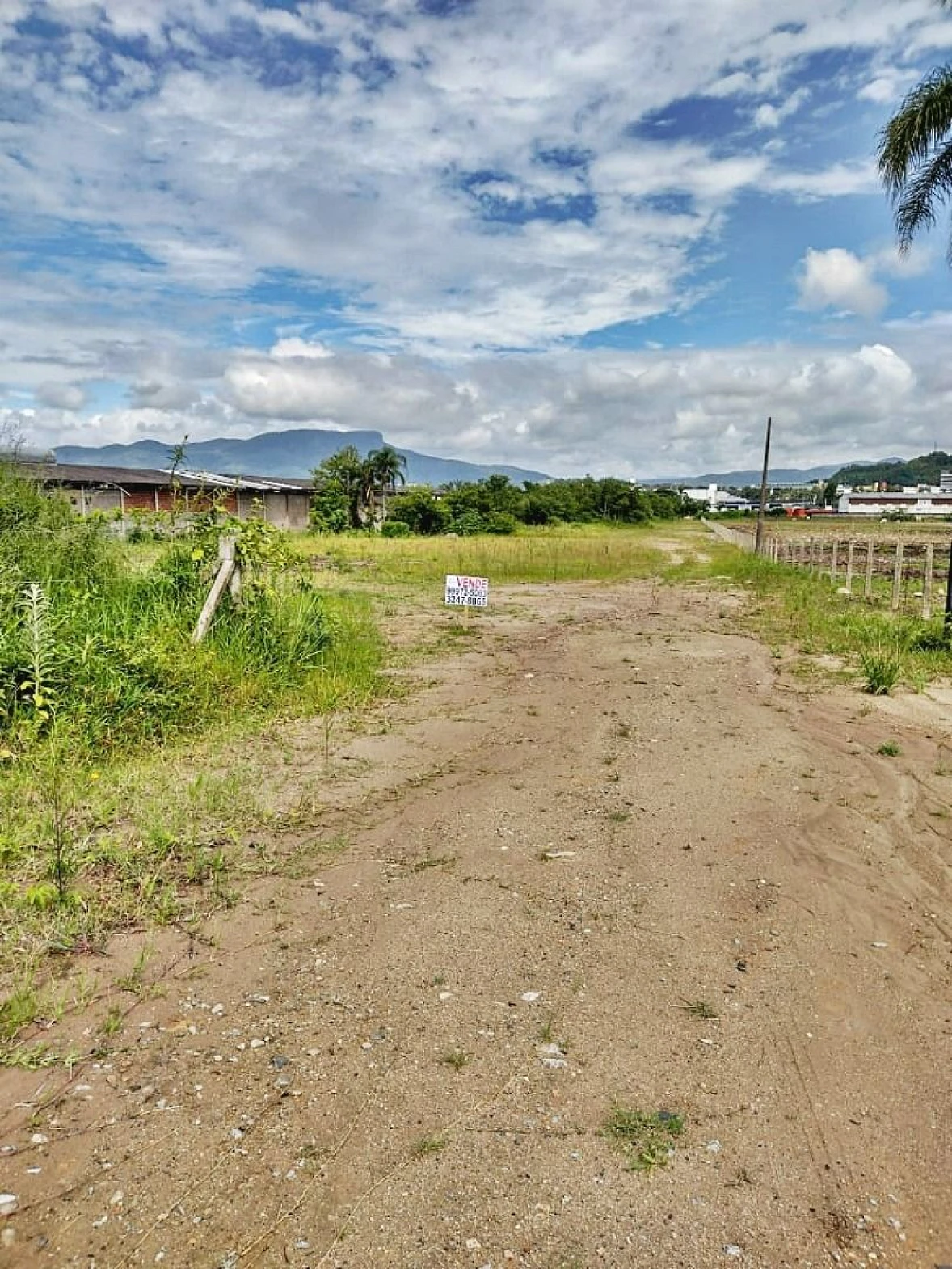 Terreno à Venda, 2317 m²  - Fazenda Santo Antônio - São José/SC - Foto 17