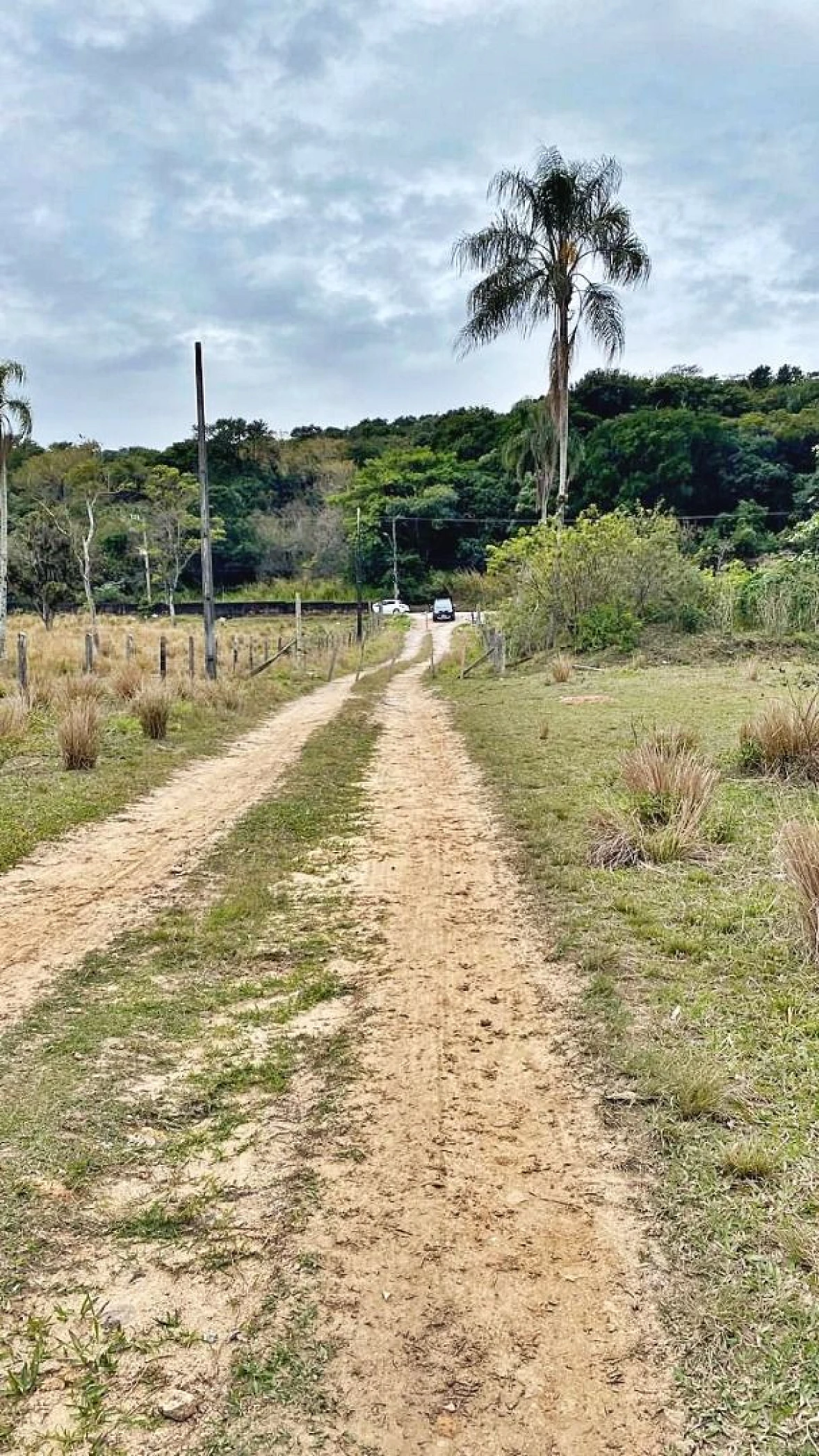 Terreno à Venda, 2317 m²  - Fazenda Santo Antônio - São José/SC - Foto 24