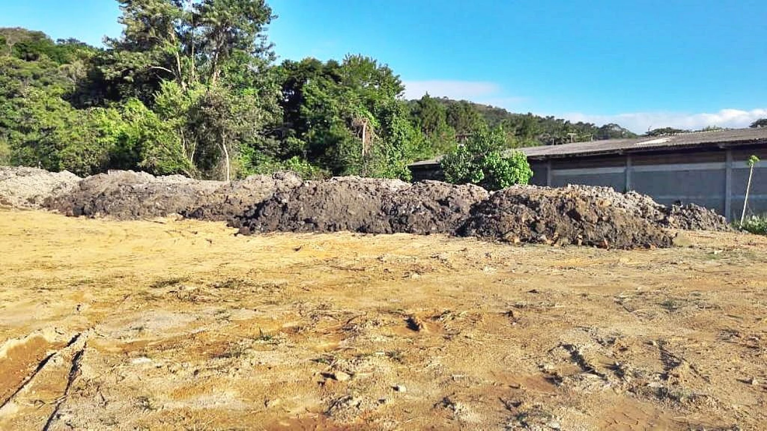 Terreno em Fazenda Santo Antônio, São José