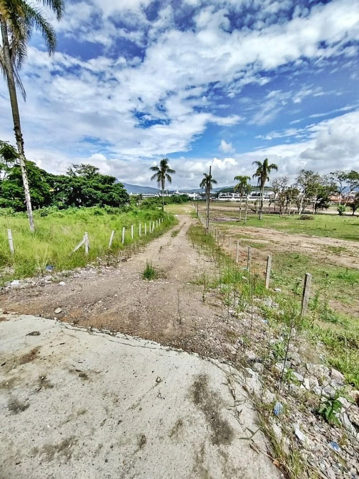 Terreno à Venda, 2317 m²  - Fazenda Santo Antônio - São José/SC - Foto 8
