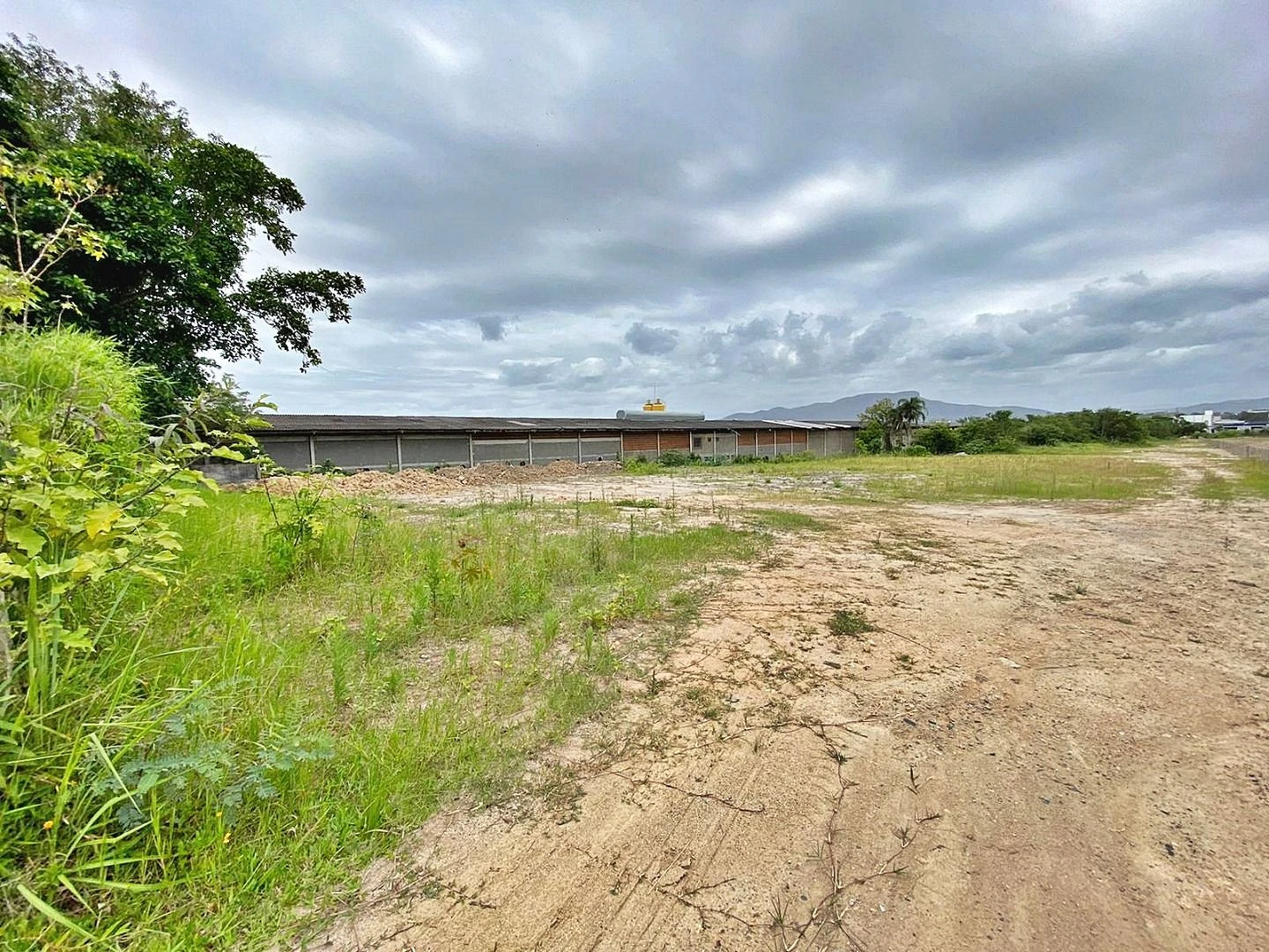 Terreno à Venda, 2317 m²  - Fazenda Santo Antônio - São José/SC - Foto 9