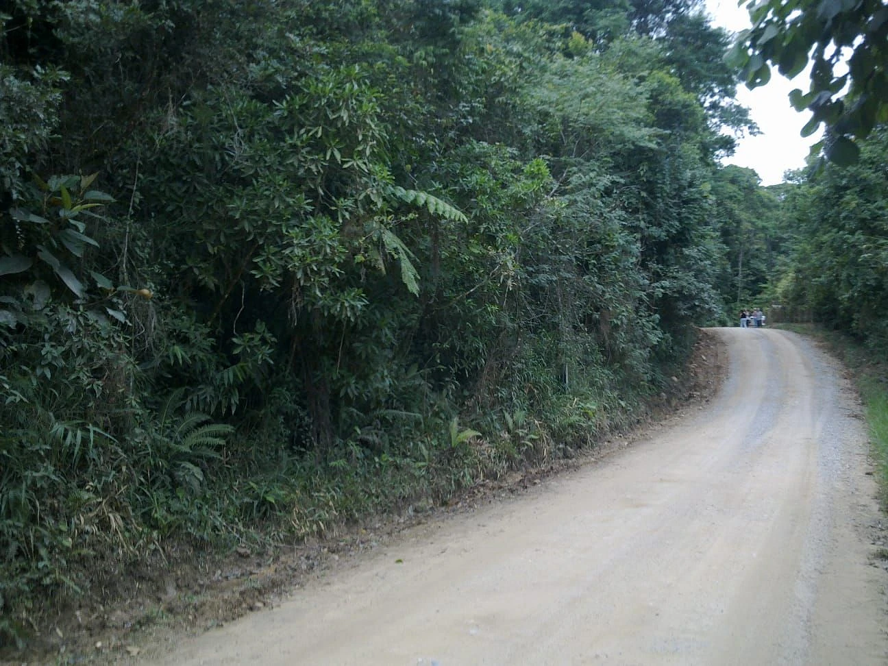 Terreno em Vargem do Braço, Santo Amaro da Imperatriz