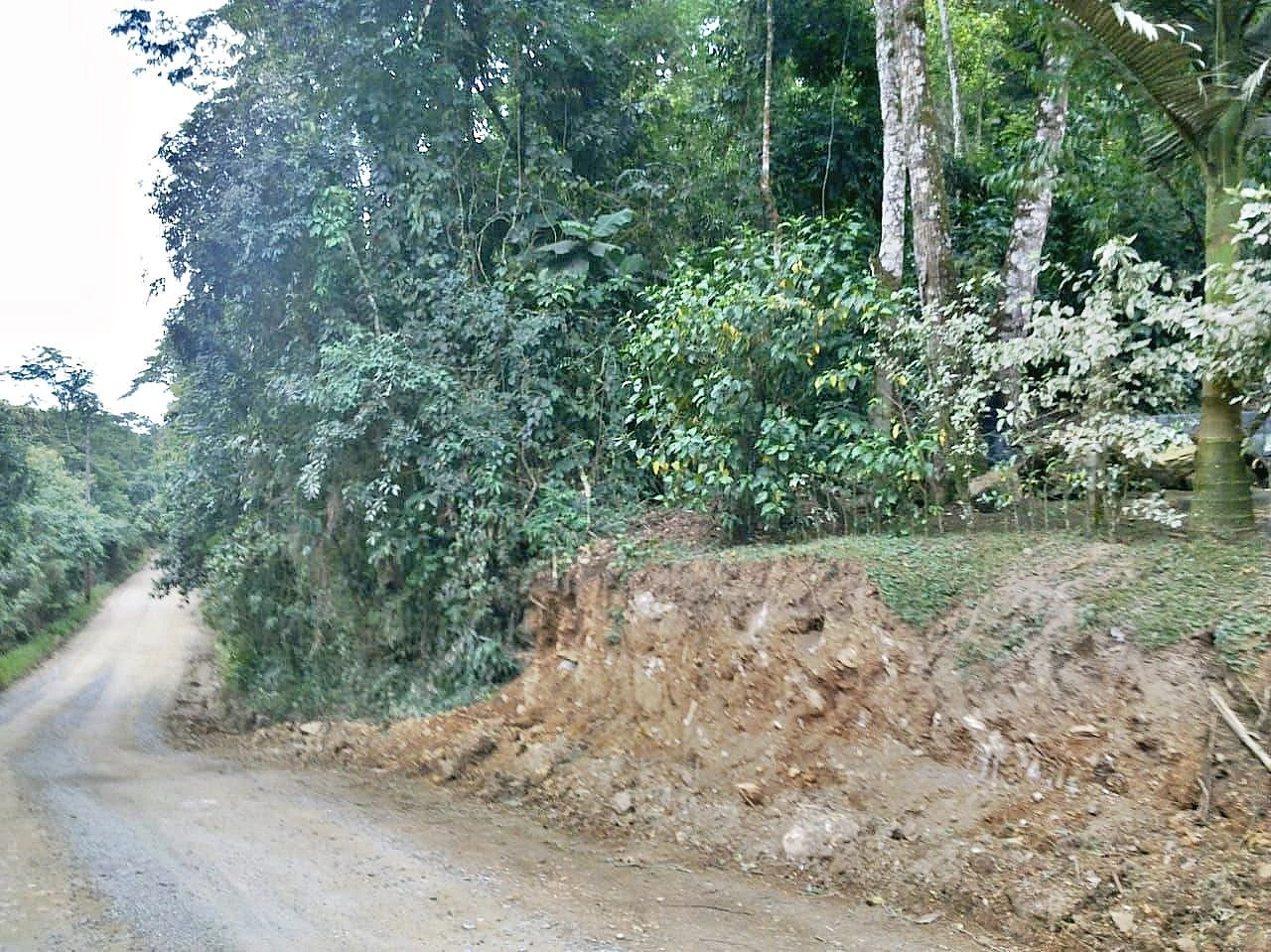 Terreno em Vargem do Braço, Santo Amaro da Imperatriz
