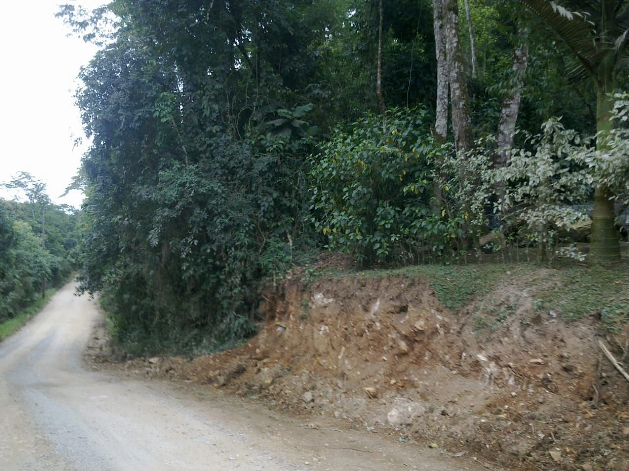 Terreno no Residencial La Bella Vita - Vargem do Braço - Foto 8