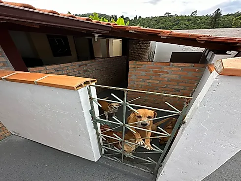Casa com 3 Dormitórios, 100 m² - Praia de Fora - Palhoça/SC - Foto 18