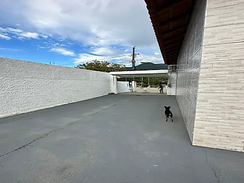 Casa com 3 Dormitórios, 100 m² - Praia de Fora - Palhoça/SC - Foto 23