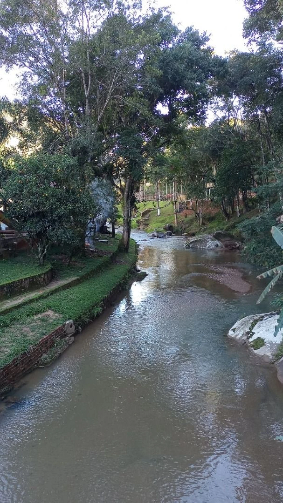 Sítio à Venda - Campo Novo - Tijucas/SC - Foto 10