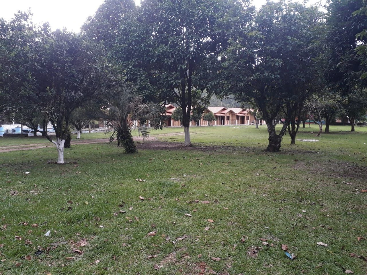 Sítio à Venda - Campo Novo - Tijucas/SC - Foto 12