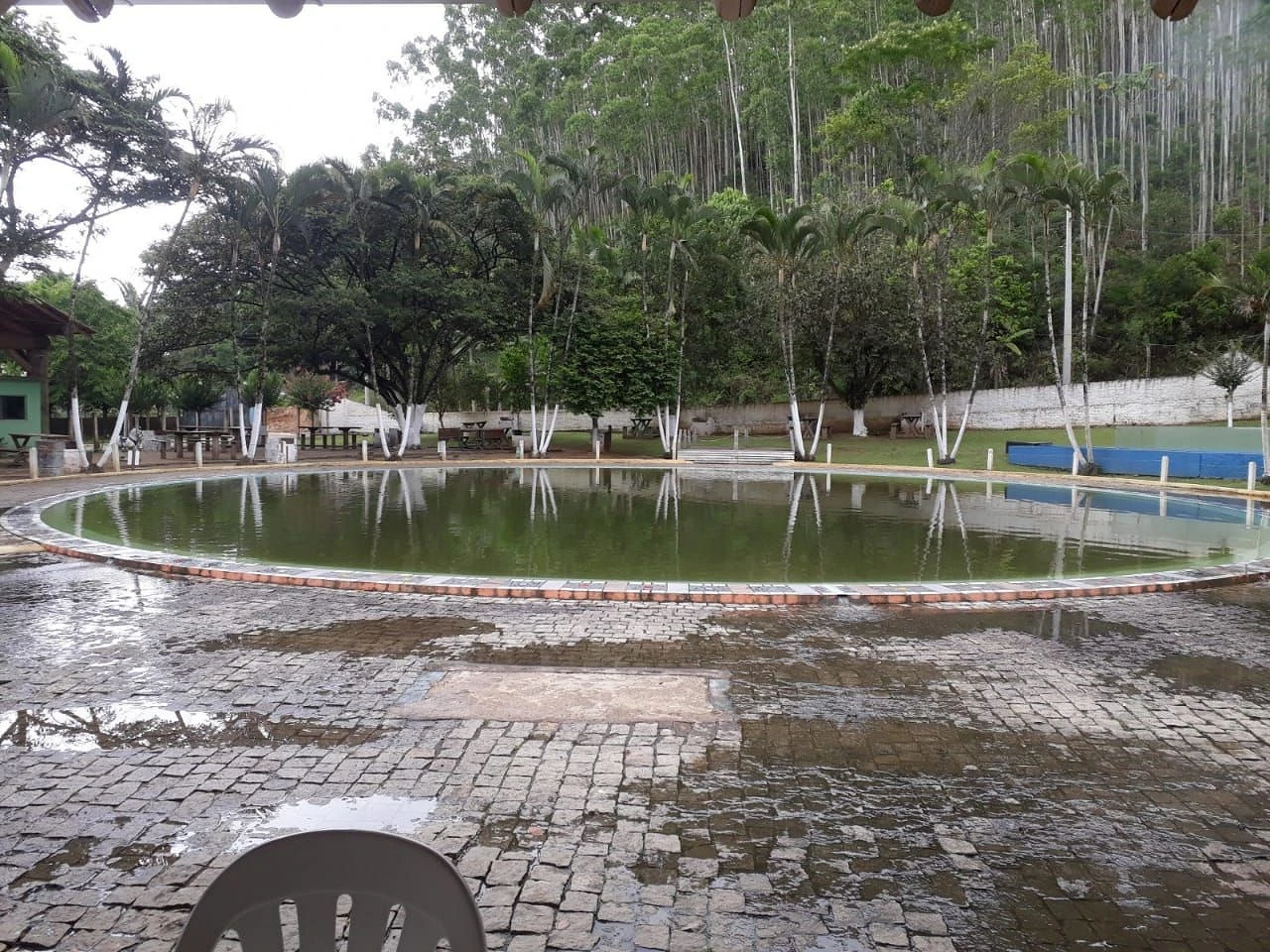 Sítio à Venda - Campo Novo - Tijucas/SC - Foto 13