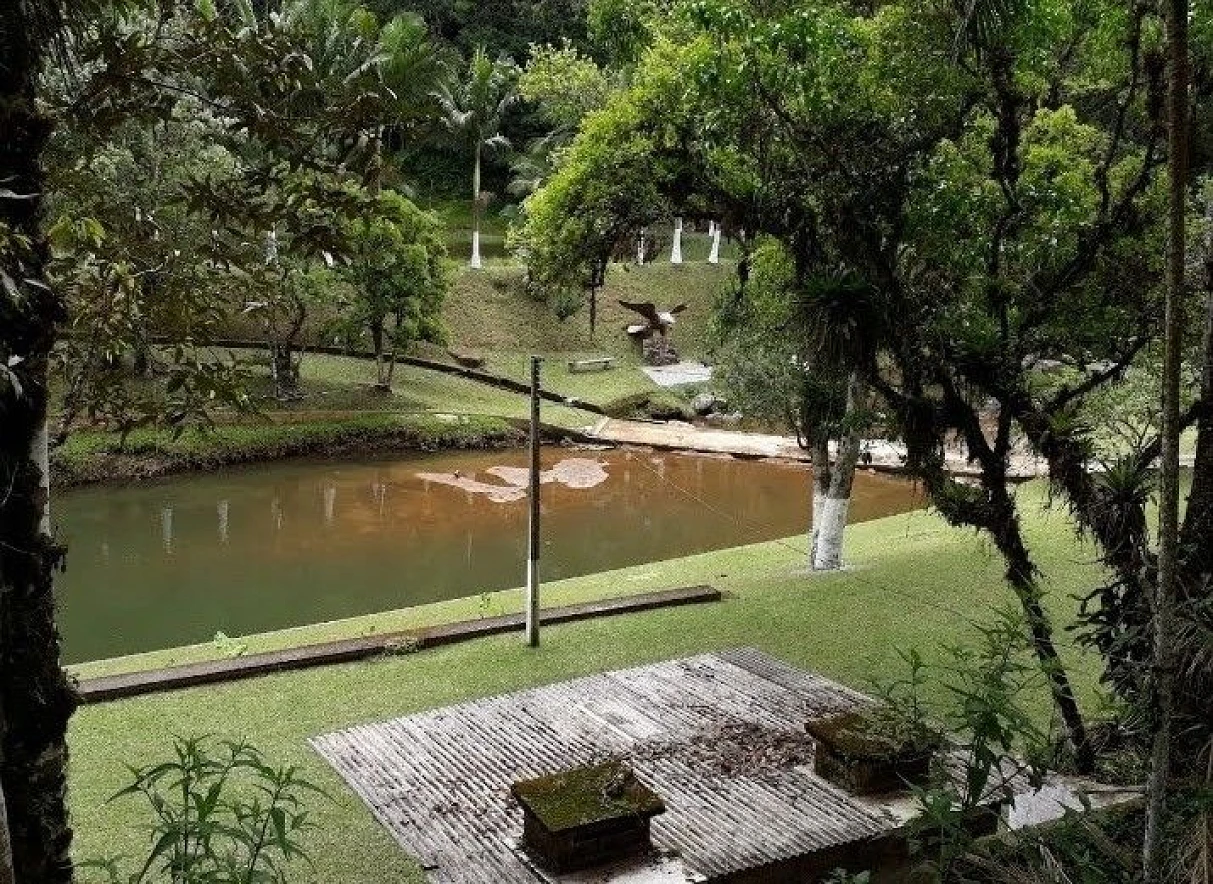 Sítio à Venda - Campo Novo - Tijucas/SC - Foto 14