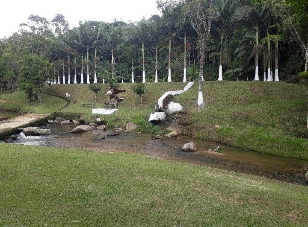 Sítio à Venda - Campo Novo - Tijucas/SC - Foto 15