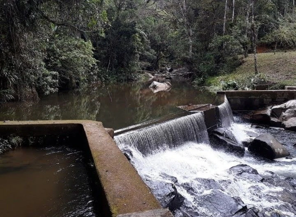 Sítio à Venda - Campo Novo - Tijucas/SC - Foto 16
