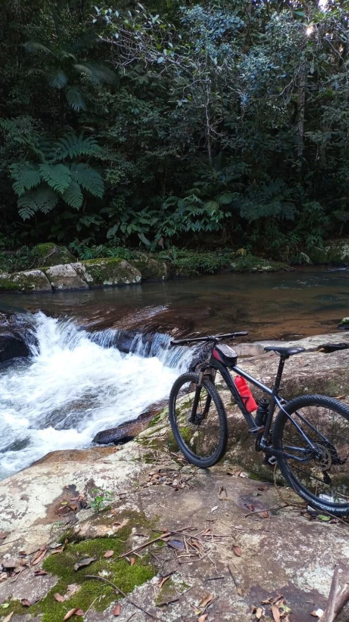 Sítio à Venda - Campo Novo - Tijucas/SC - Foto 20